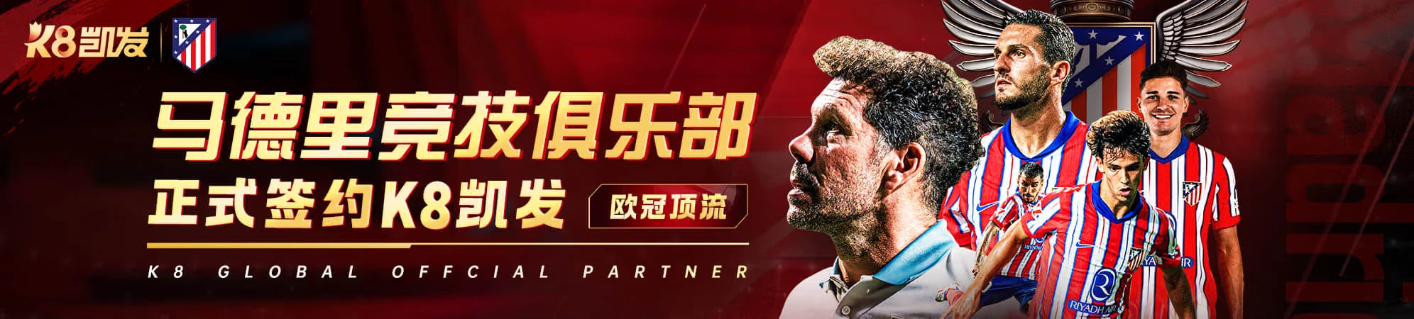 体育数据资料阅读